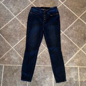 Judy Blue Los Angeles Skinny Fit women's jeans, Button fly size 9, size 29